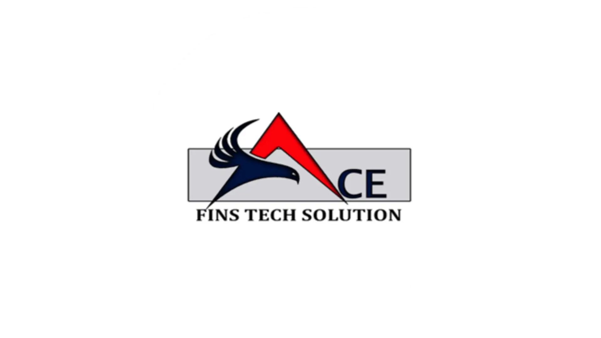 Ace fins tech solution